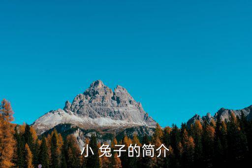 小 兔子的簡介
