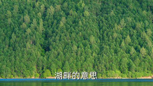 湖邊，湖邊是那里