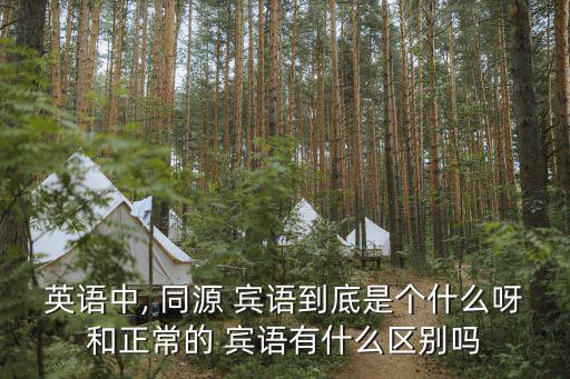 英語中, 同源 賓語到底是個(gè)什么呀和正常的 賓語有什么區(qū)別嗎