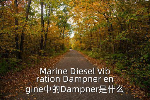 Marine Diesel Vibration Dampner engine中的Dampner是什么