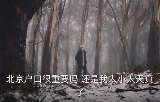 北京戶口很重要嗎 還是我太小太天真了