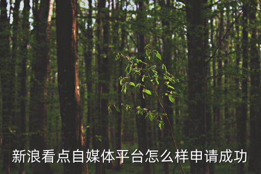 新浪看點自媒體平臺怎么樣申請成功