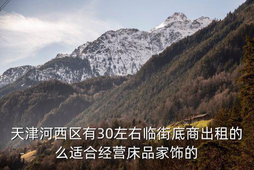 天津市有底商嗎，天津市西青區中北鎮有小底商賣嗎