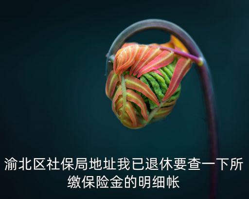 渝北區社保局地址我已退休要查一下所繳保險金的明細帳