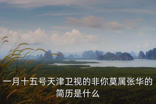 一月十五號天津衛視的非你莫屬張華的簡歷是什么