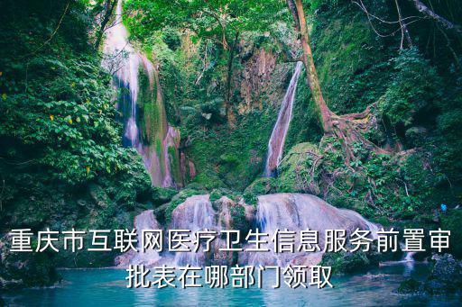 重慶市互聯網醫療衛生信息服務前置審批表在哪部門領取