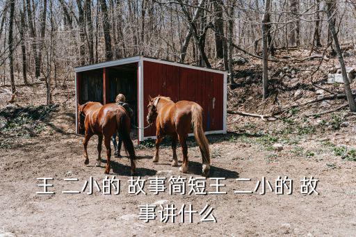 王二小的英雄故事,13歲中國(guó)青年抗日英雄王二小被殘酷殺害