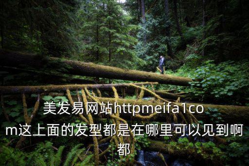 美發易網站httpmeifa1com這上面的發型都是在哪里可以見到啊都