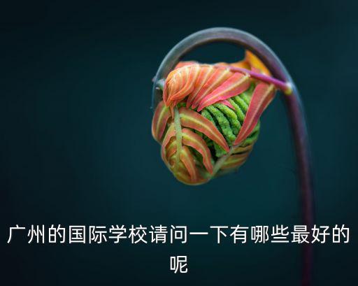 廣東最好的國際學校排名，廣州的國際學校請問一下有哪些最好的呢