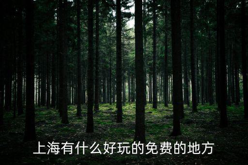 上海有什么好玩的免費(fèi)的地方