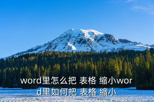 word里怎么把 表格 縮小word里如何把 表格 縮小