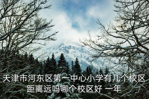 天津市河東區第一中心小學有幾個校區距離遠嗎哪個校區好 一年