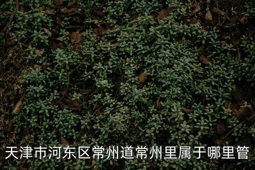 天津市河東區常州道常州里屬于哪里管