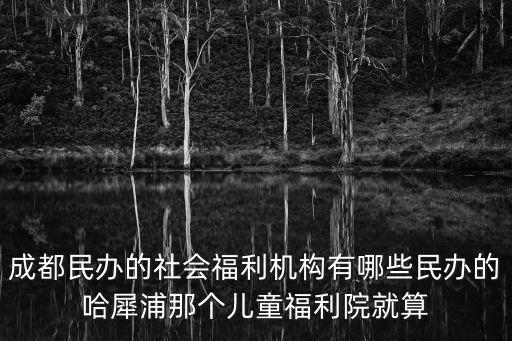 四川省成都市新都區社會福利院，成都哪里有孤兒院福利院啊具體地址我想去做義工謝謝哈