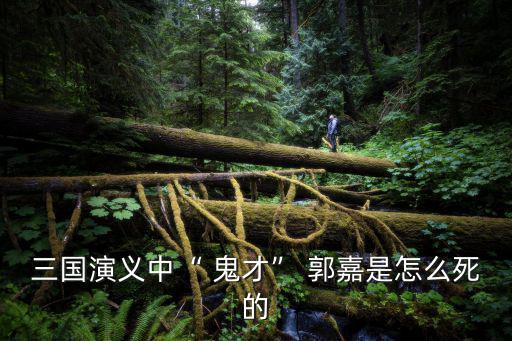 鬼才郭嘉,神算郭嘉病逝郭嘉是曹操怪人嗎?