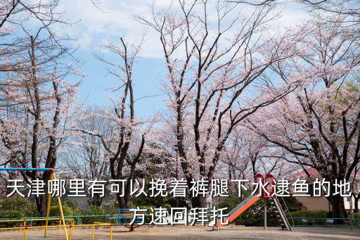 天津市能抓魚的地方，現(xiàn)在塘沽驢駒河還能趕海拾貝嗎