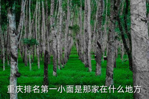 重慶市小面百?gòu)?qiáng)，重慶排名第一的小面