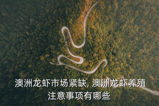  澳洲龍蝦市場(chǎng)緊缺, 澳洲龍蝦養(yǎng)殖注意事項(xiàng)有哪些