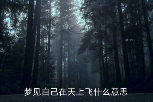 夢(mèng)見(jiàn)自己在天上飛什么意思