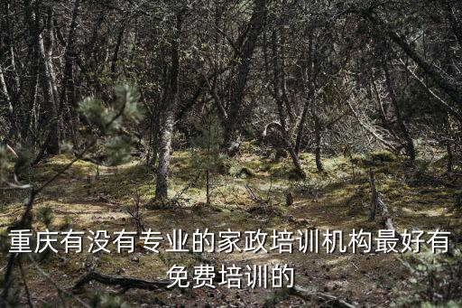在重慶市哪里有培訓保潔的，在重慶哪里可以學習干洗技術大概需要多少費用