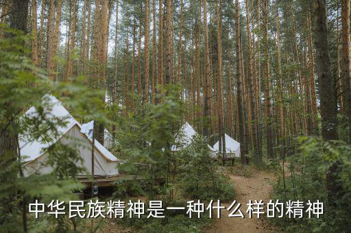 中華民族精神是一種什么樣的精神