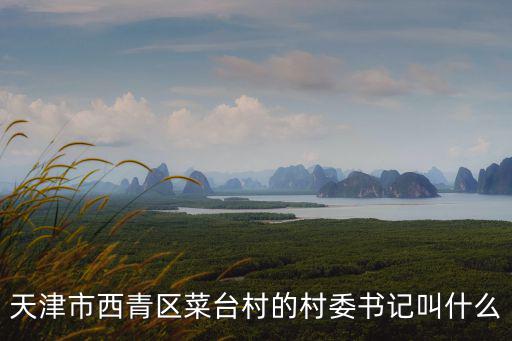天津市西青區趙利利，天津市西青區中北鎮雷莊子花卉招聘會 年后什么時候召開