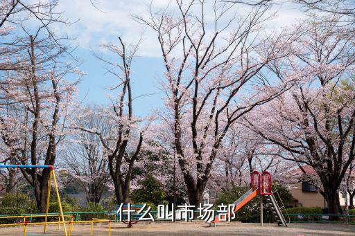 什么叫市場部