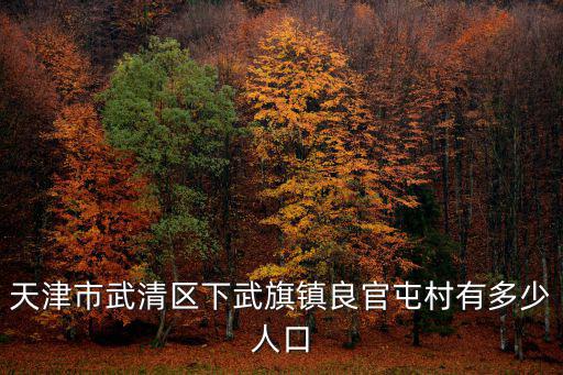 天津市武清區下武旗鎮良官屯村有多少人口