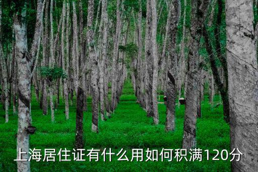 上海居住證有什么用如何積滿120分