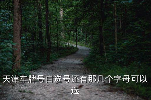 天津車(chē)牌號(hào)自選號(hào)還有那幾個(gè)字母可以選