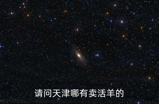 請問天津哪有賣活羊的