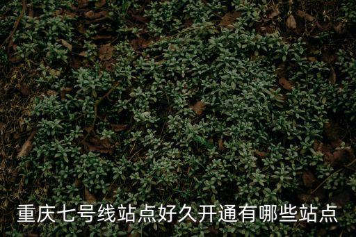 重慶七號線站點好久開通有哪些站點