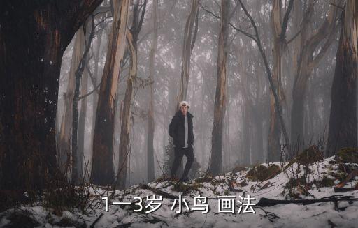 1一3歲 小鳥 畫法
