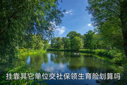 掛靠其它單位交社保領生育險劃算嗎