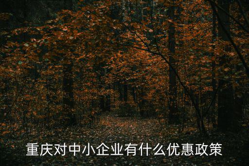 重慶對中小企業(yè)有什么優(yōu)惠政策