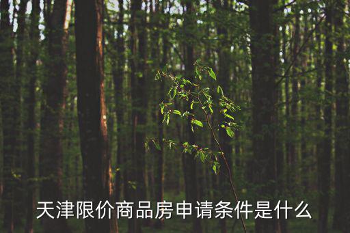 天津限價(jià)商品房申請(qǐng)條件是什么