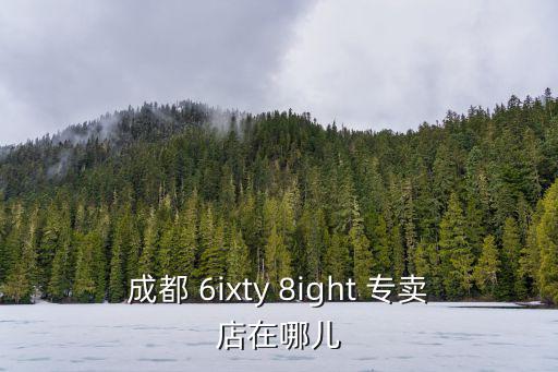 成都 6ixty 8ight 專賣店在哪兒