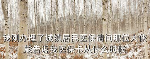 我剛辦理了城鎮(zhèn)居民醫(yī)保請(qǐng)問那位大俠能告訴我醫(yī)保卡從什么時(shí)候