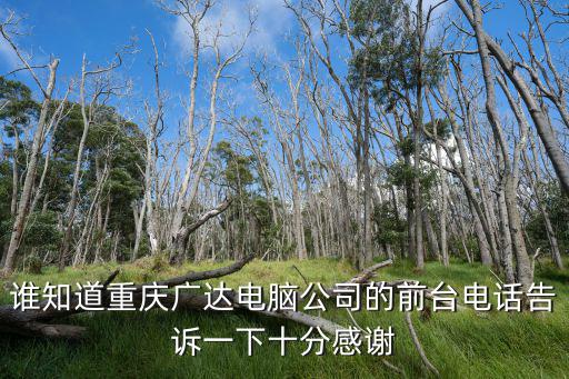 誰知道重慶廣達(dá)電腦公司的前臺(tái)電話告訴一下十分感謝