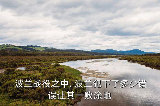  波蘭戰役之中, 波蘭犯下了多少錯誤讓其一敗涂地