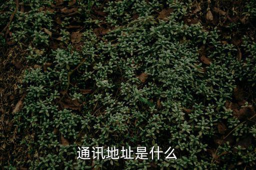 通訊地址是什么
