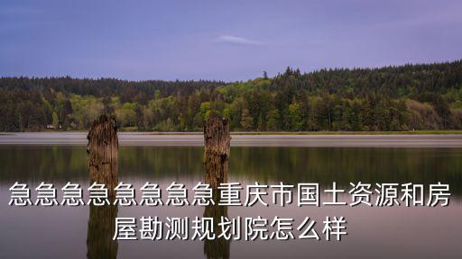 急急急急急急急急重慶市國土資源和房屋勘測規劃院怎么樣