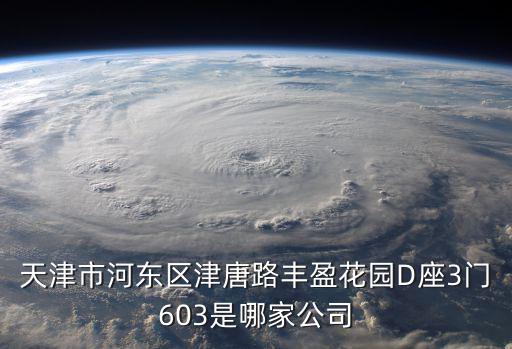 天津市河?xùn)|區(qū)津唐路豐盈花園D座3門603是哪家公司