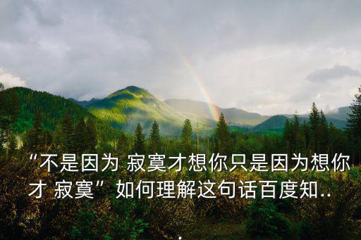 因為寂寞才想你,我只想你寂寞第二句寫反了嗎?