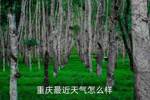 重慶市預警，重慶最近天氣怎么樣