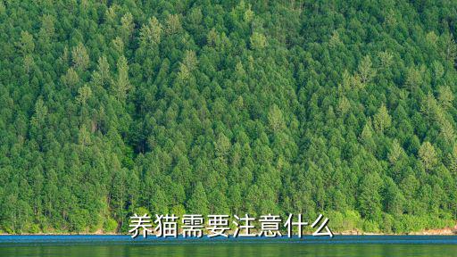 養貓需要注意什么
