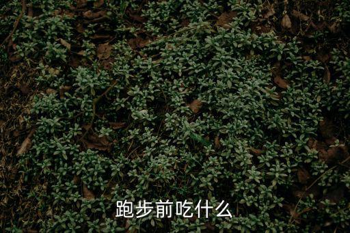 跑步前吃什么
