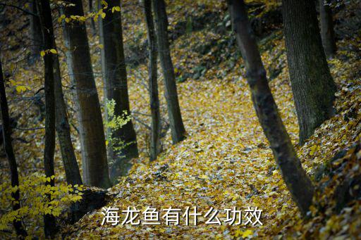  海龍魚有什么功效