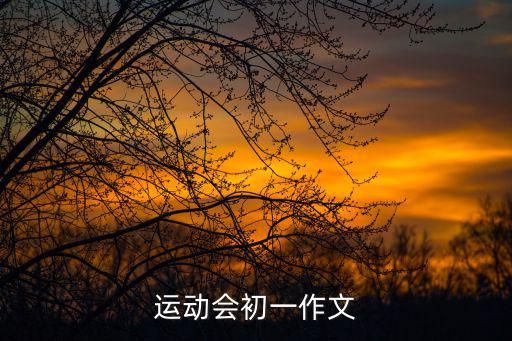 運動會初一作文