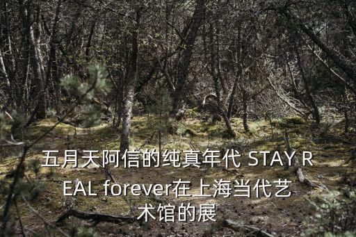 五月天阿信的純真年代 STAY REAL forever在上海當代藝術館的展